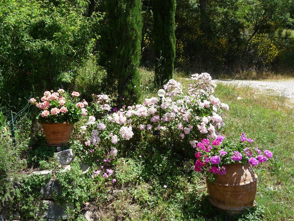 Podere Sant'Angelo Roccalbegna ภายนอก รูปภาพ
