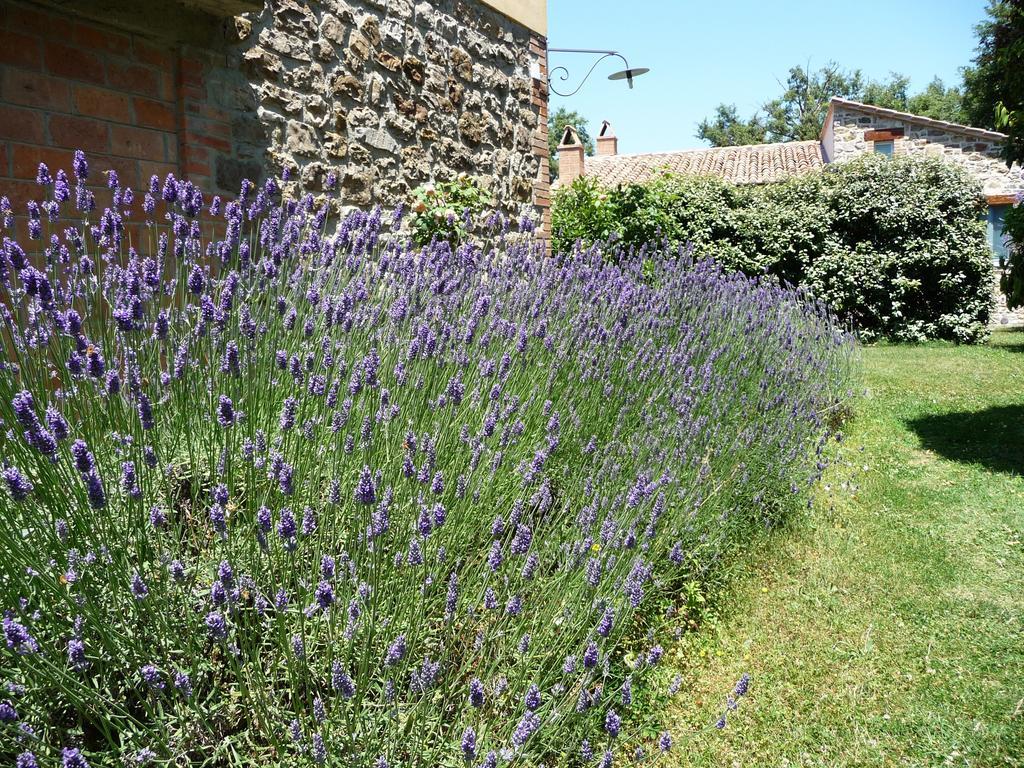 Podere Sant'Angelo Roccalbegna ภายนอก รูปภาพ